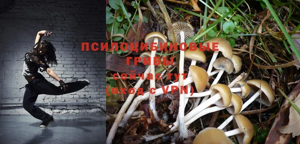 бошки Липки