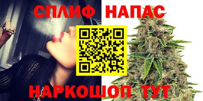 не бодяженный Гай