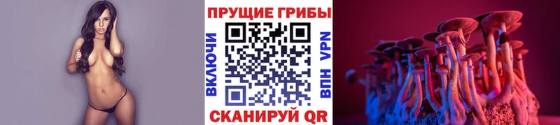 блэк спрут как войти  Тайшет  Галлюциногенные грибы ЛСД 