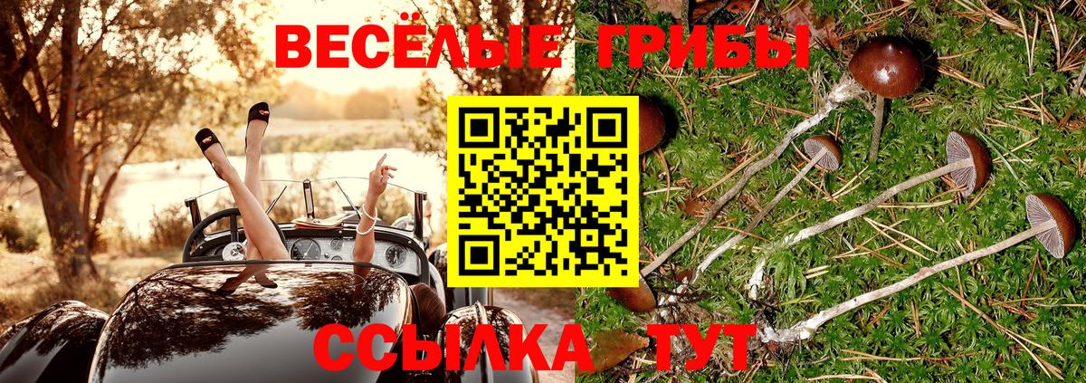 Галлюциногенные грибы Magic Shrooms  Псилоцибиновые грибы ЛСД  Тайшет 